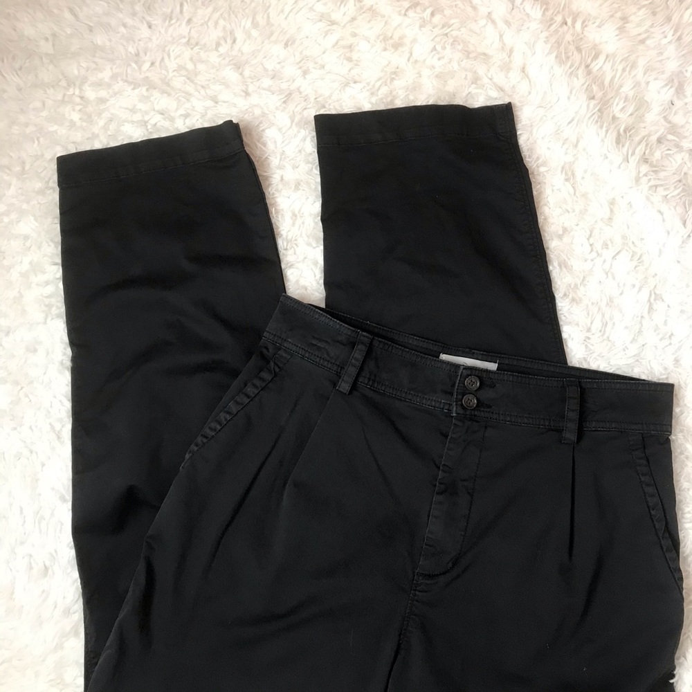 Everlane The Pleated Chino